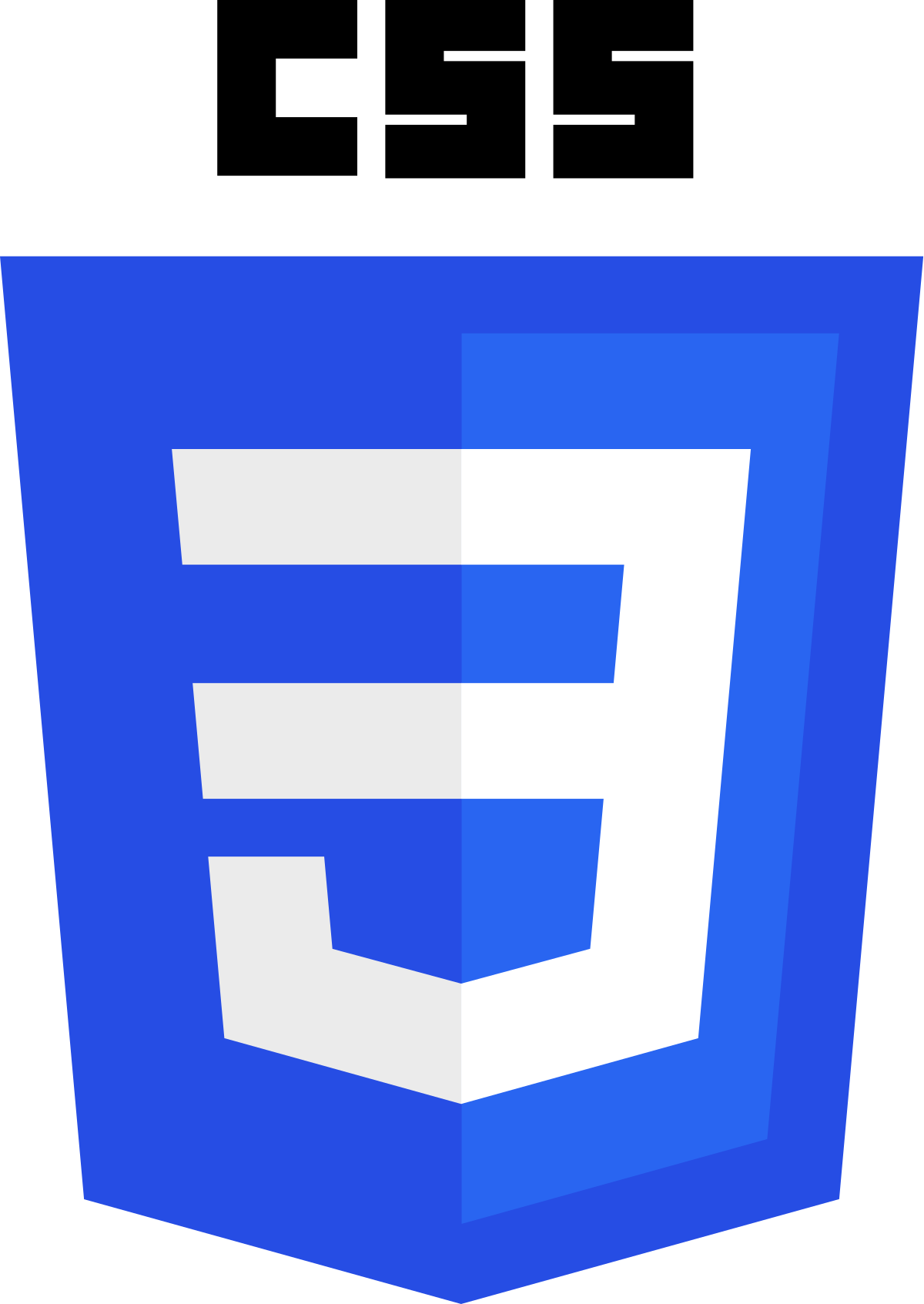 CSS - Ishwor Shrestha